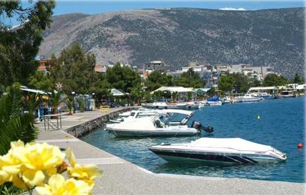 Iridanos Otel Antikyra Dış mekan fotoğraf